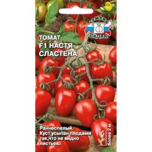 Kõik Cherry Tomatite kohta