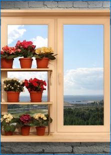 Lillede seisab Windowsilli: funktsioonid ja tüübid