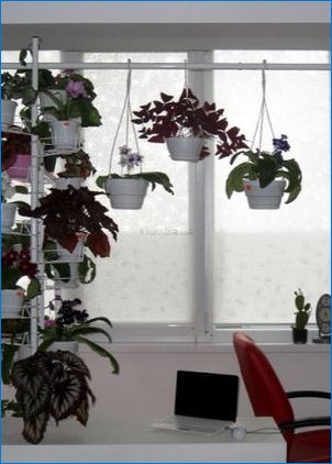 Lillede seisab Windowsilli: funktsioonid ja tüübid
